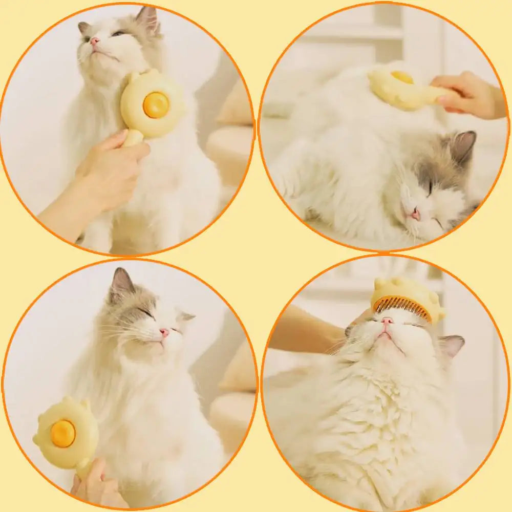 "Selfie Ready" Cat Grooming Brush, Nail Clipper and Hair Cleaning Scratcher