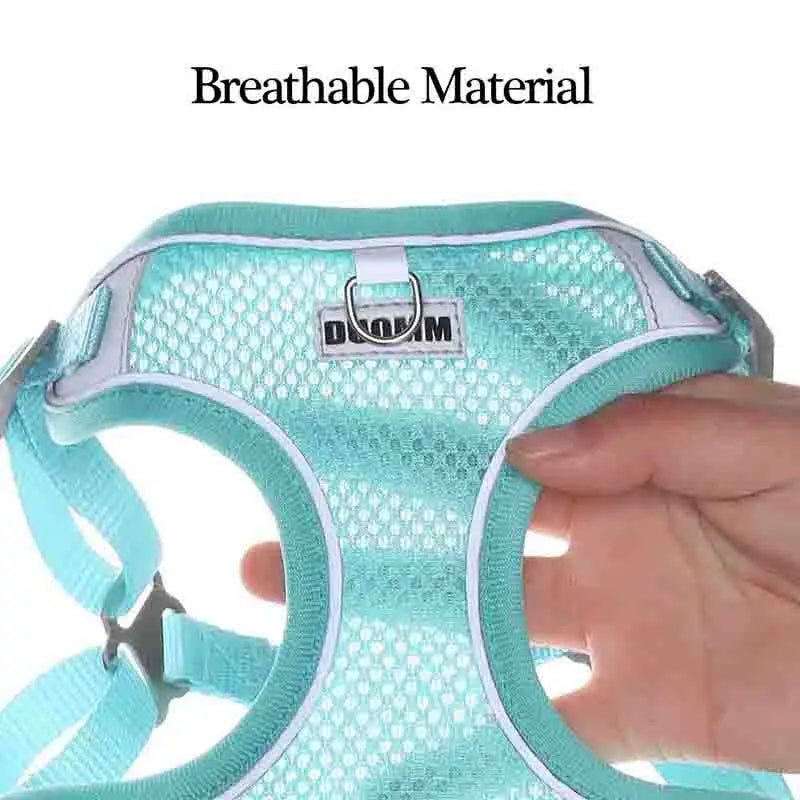 "I Won't Escape, I Promise" No-Pull Harness and Leash Set