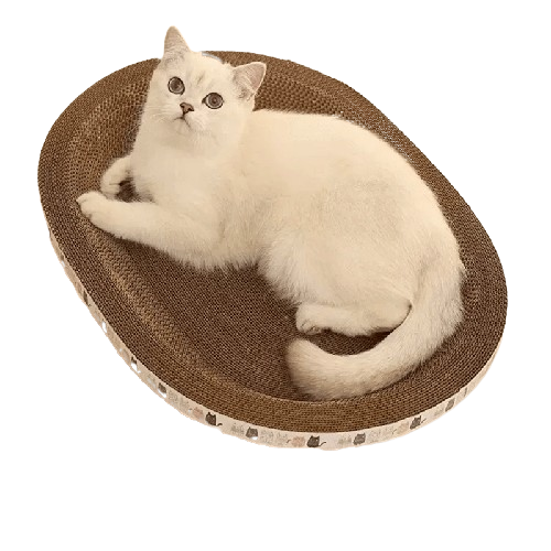 "Time To Get These Nails On Fleek" Scratcher and Grinding Claw Toy
