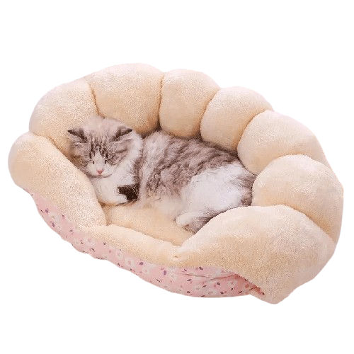 "There Is A Meeting In My Bed" Cat Bed