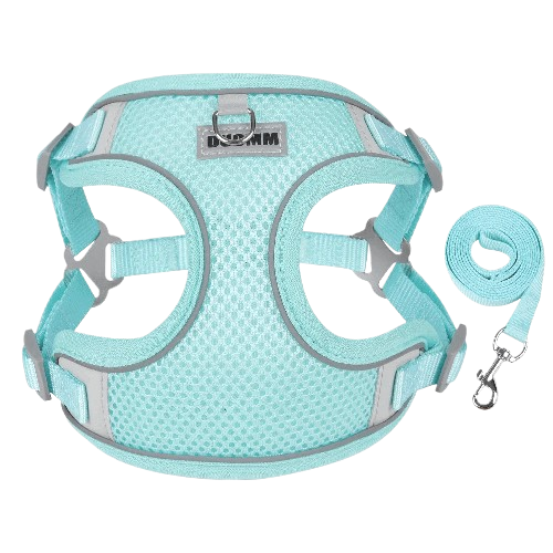 "I Won't Escape, I Promise" No-Pull Harness and Leash Set