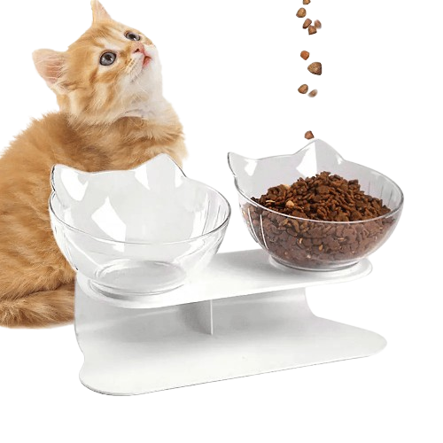 "Need To Reach My Daily Protein Goal"  Cat Bowl