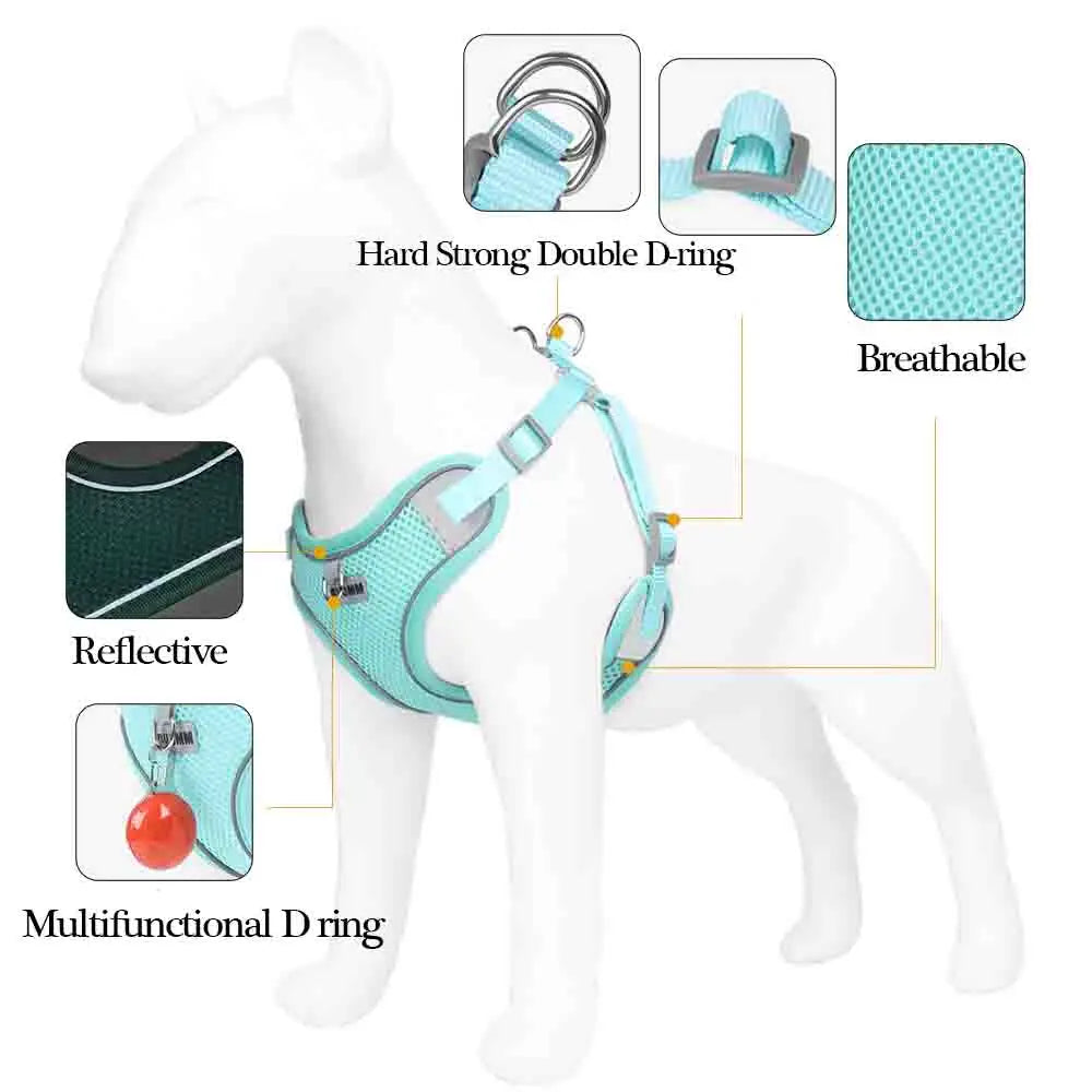 "I Won't Escape, I Promise" No-Pull Harness and Leash Set